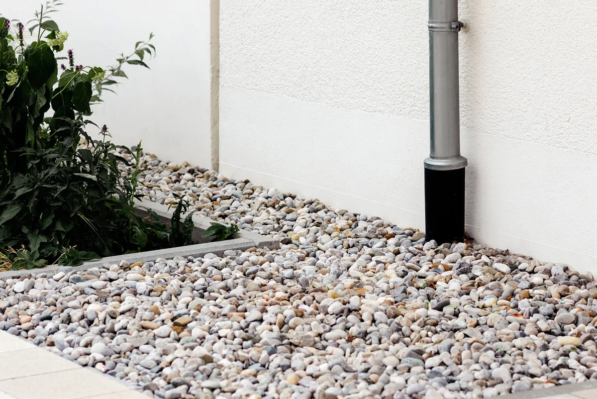 Professional service