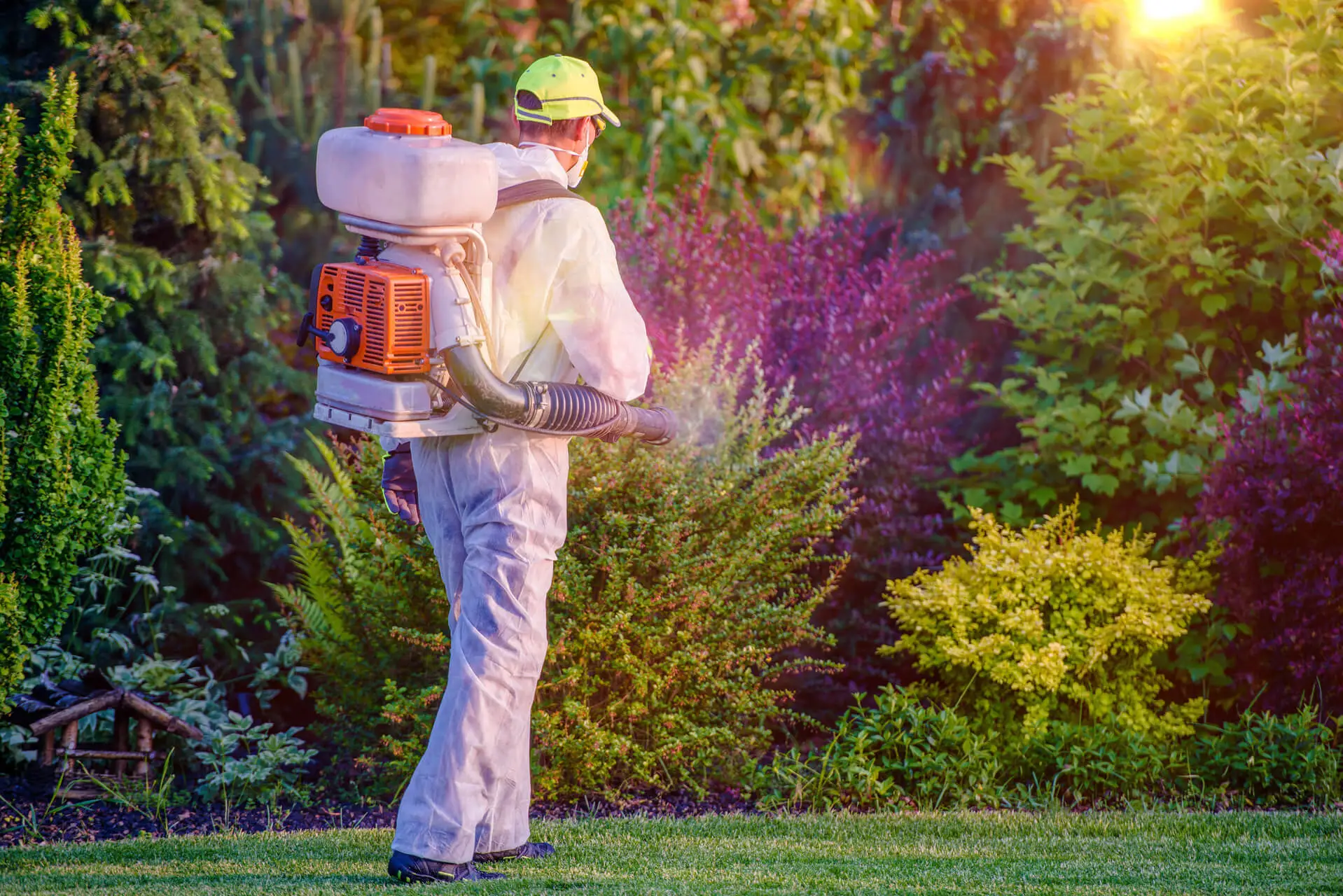Mosquito Control