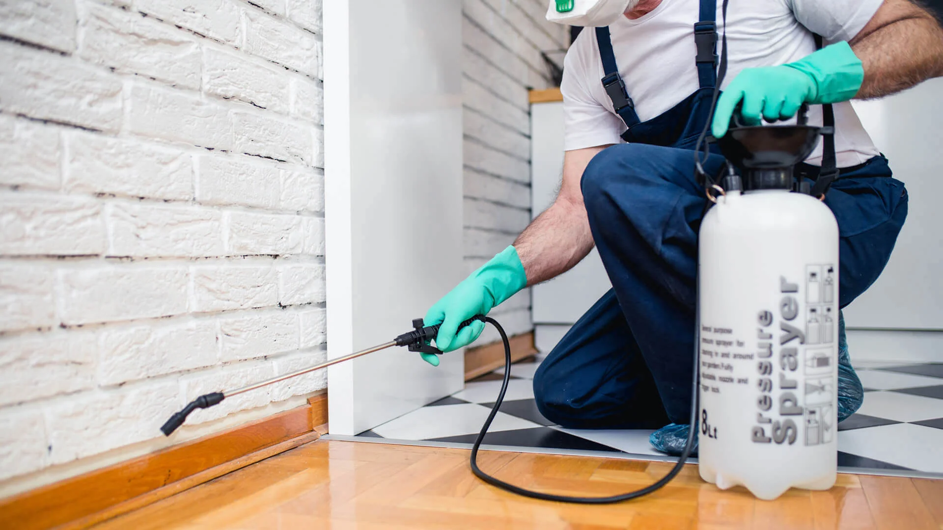 Best Pest & Termite Control Companies in Chicago, IL